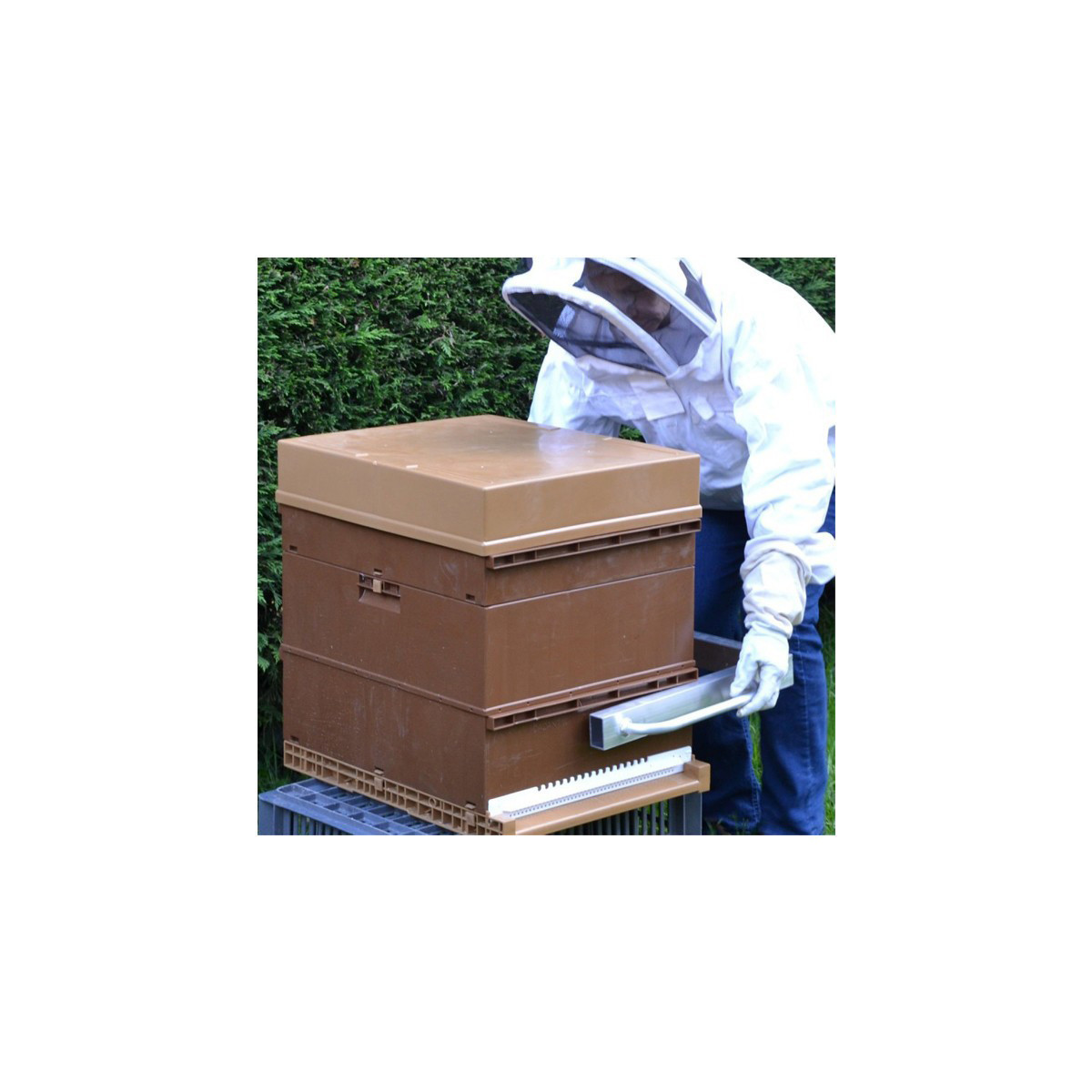 Support de levage de poignée en aluminium en nid d'abeille pince de cadre  de ruche de nid d'abeille apiculteur apiculture apiculture abeilles outil  de transfert pince - AliExpress