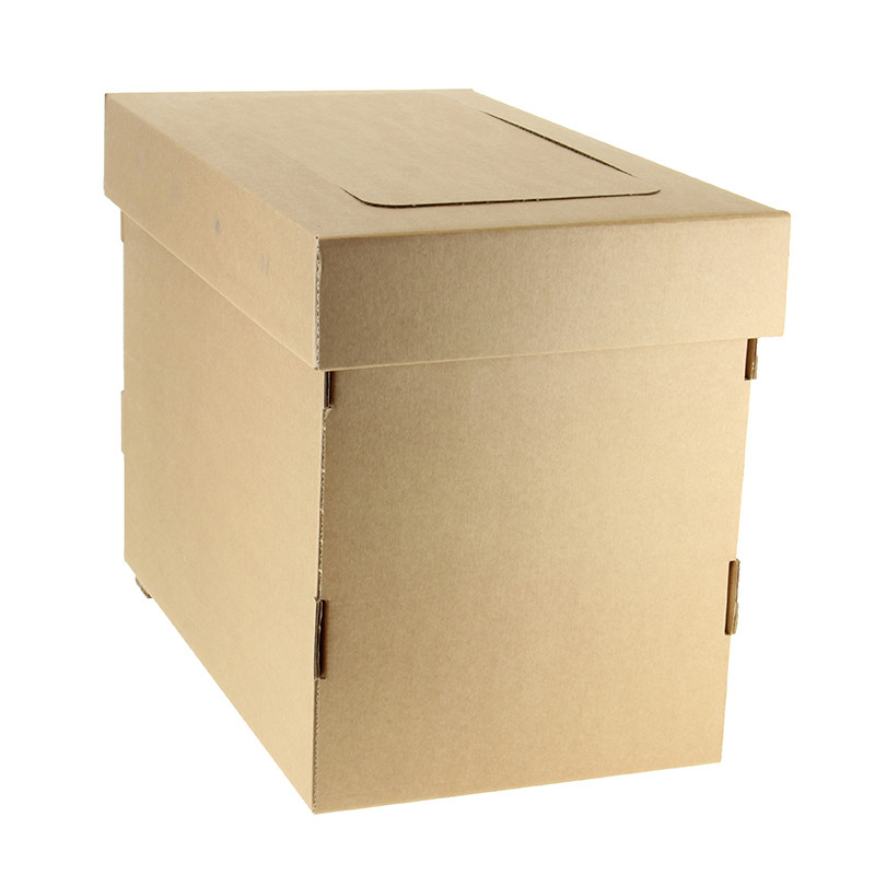 Ruchette BeeBox Dadant 6...