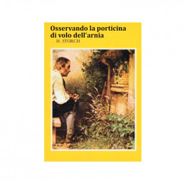 Osservando la porticinia di volo dell'arnia