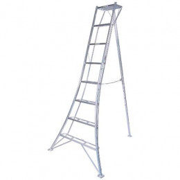 Echelle sécurisée tripode 300cm