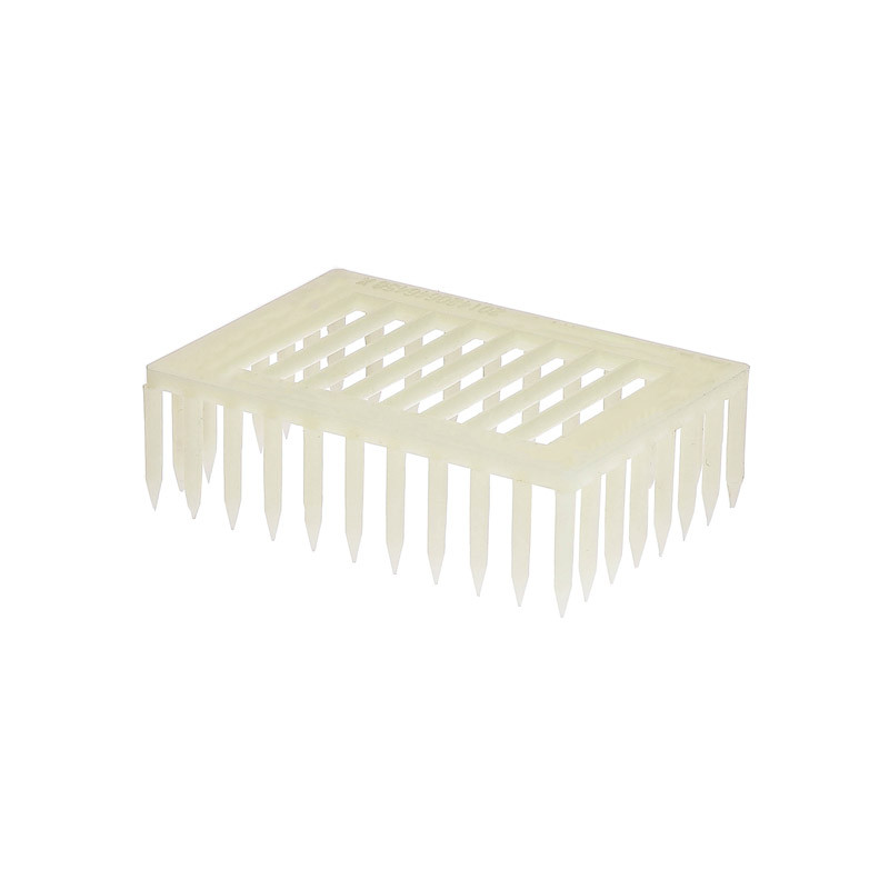 Cage à reine plastique