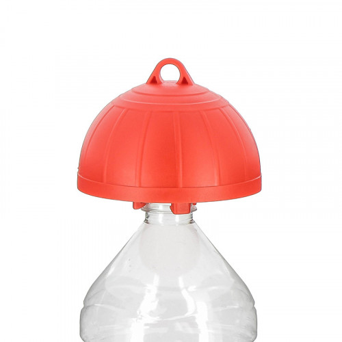 Piège à mouche de l'olive bouteille