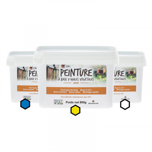Pack Bretagne : 3 pots de peinture (bleu, jaune, blanc)