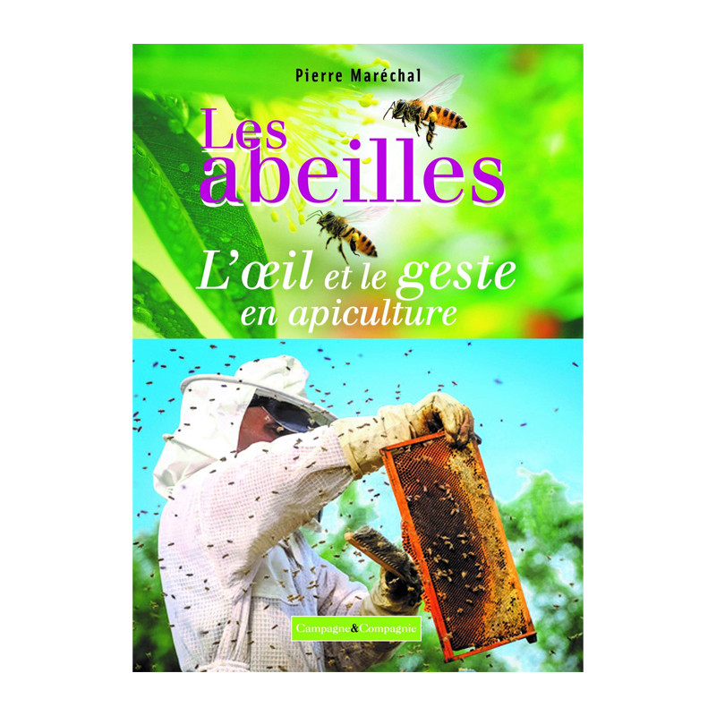 Les abeilles : L'oeil et le...