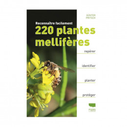 Reconnaître facilement 220 plantes mellifères