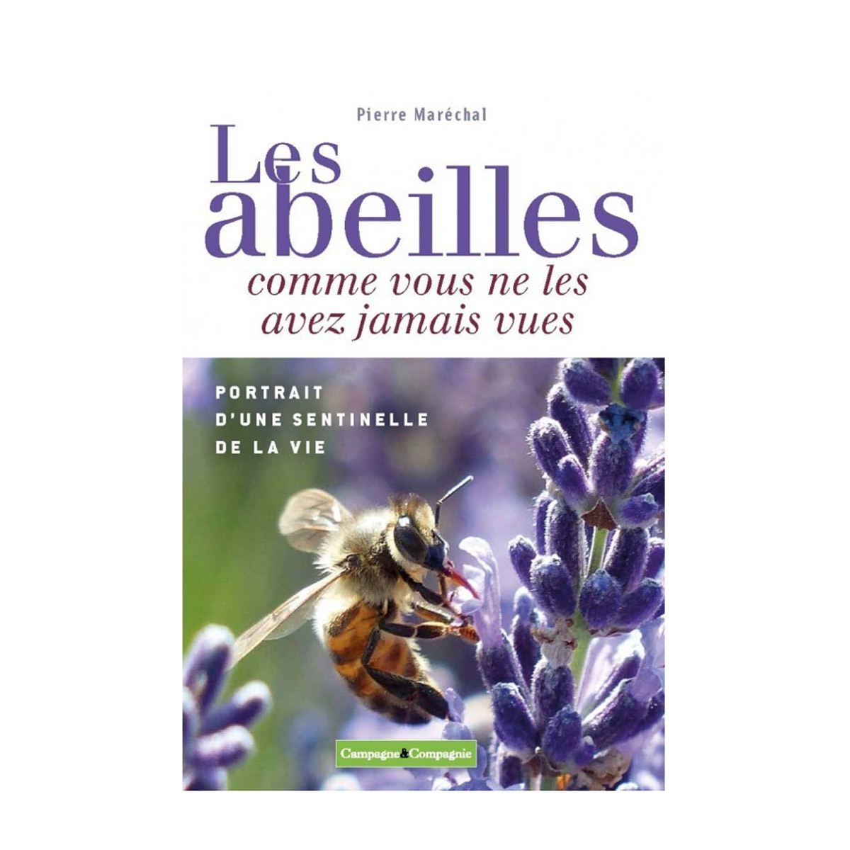 Les abeilles comme vous ne...