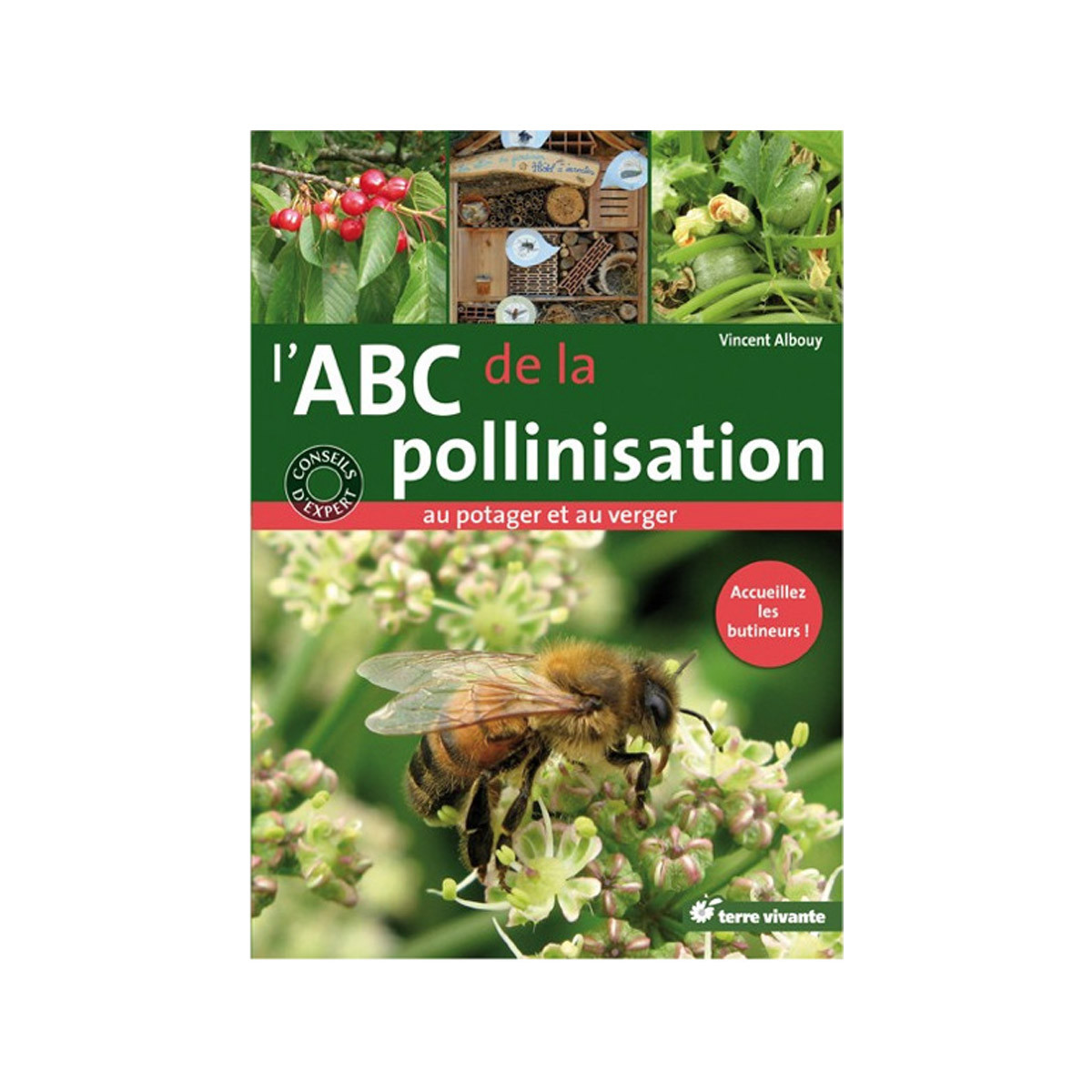 L'ABC de la pollinisation...