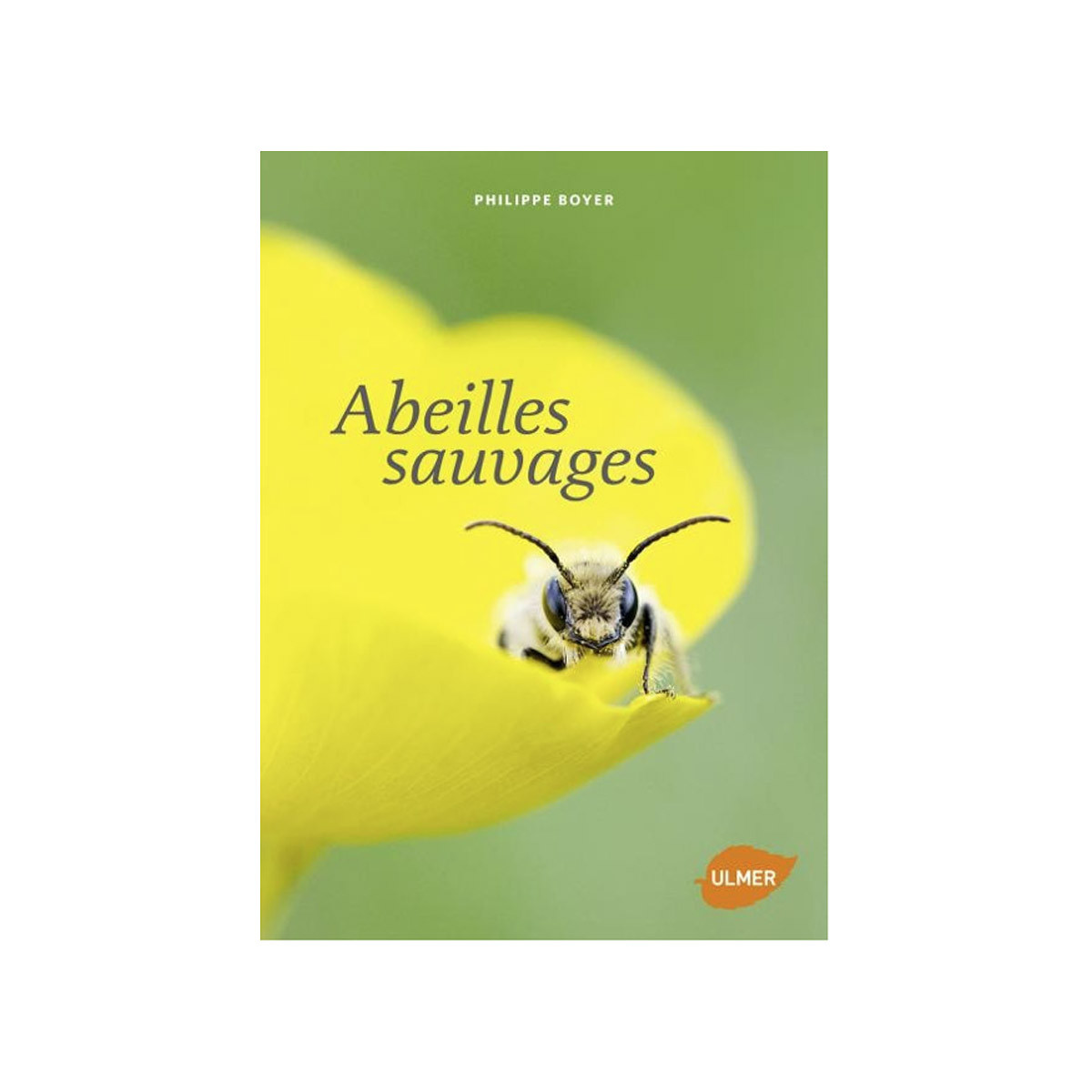 Abeilles sauvages