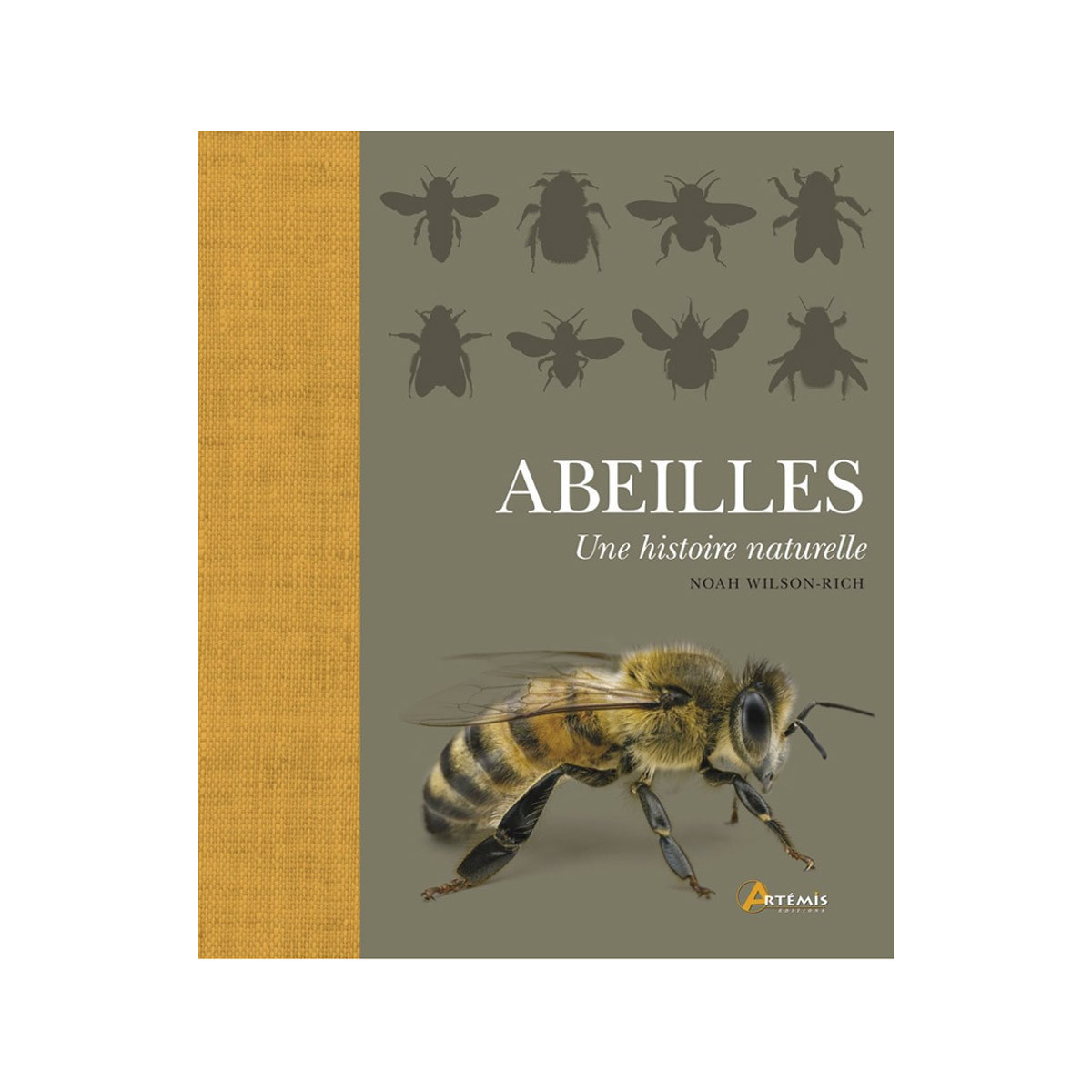 Abeilles, une histoire...