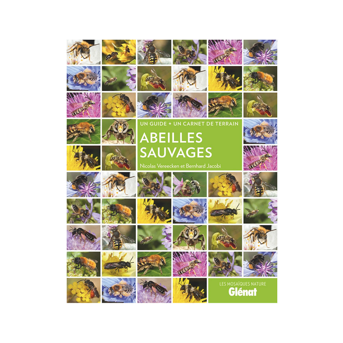 Guide Abeilles sauvages