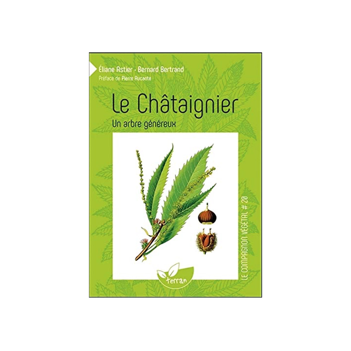 Le châtaignier