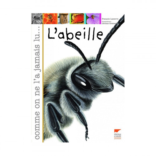 L'abeille comme on ne l'a jamais lu...