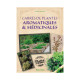 Carrés de plantes aromatiques & médicinales