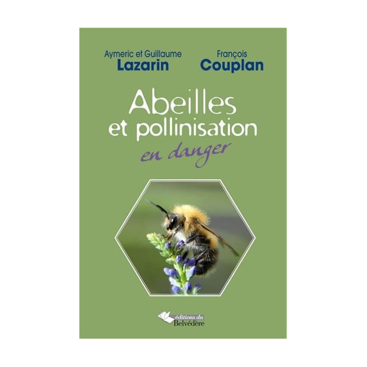 Abeilles et pollinisation...