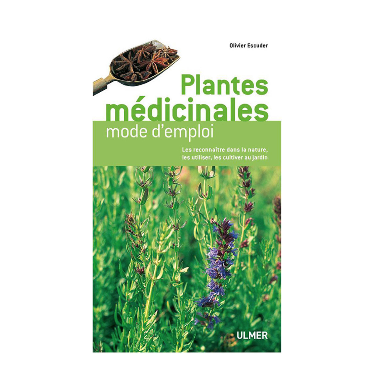 Plantes médicinales, mode...