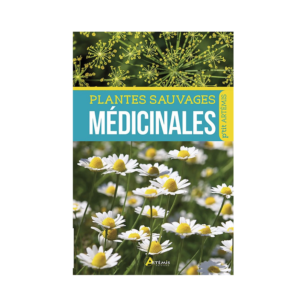 Plantes sauvages médicinales