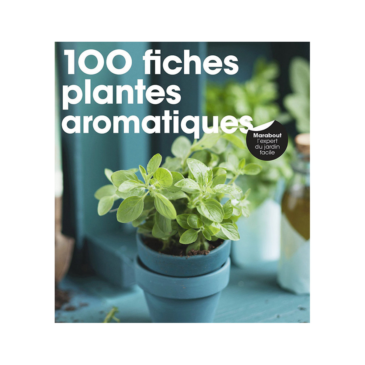 100 fiches plantes aromatiques
