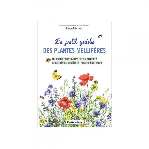 Le petit guide des plantes mellifères