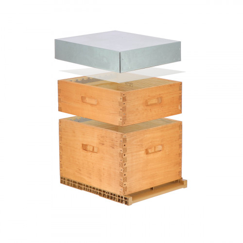 Ruche lasurée Dadant 10 cadres + Hausse