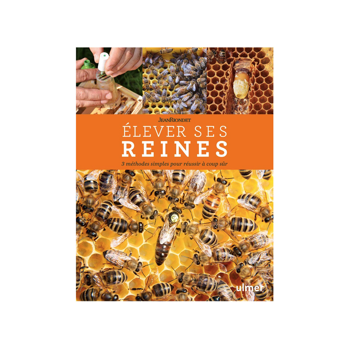 Kit D'Élevage De Reines Pour Apiculture - 100 Cellules + Supports + Cages à Bigoudis - Matériel Pour Élevage Réussi