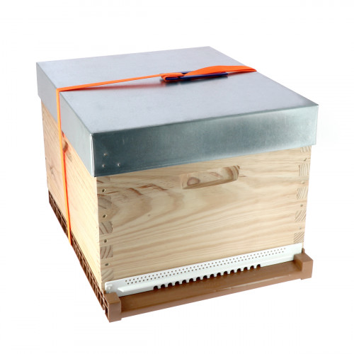 Sangle avec tendeur basculant 25 mm x 3,75 m