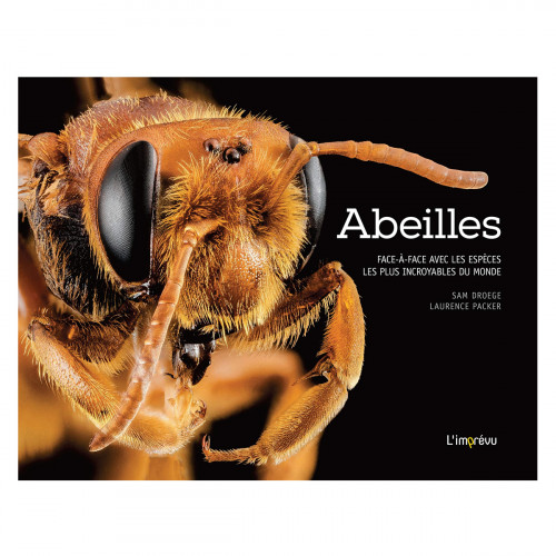 Abeilles, face à face avec les espèces les plus incroyables du monde