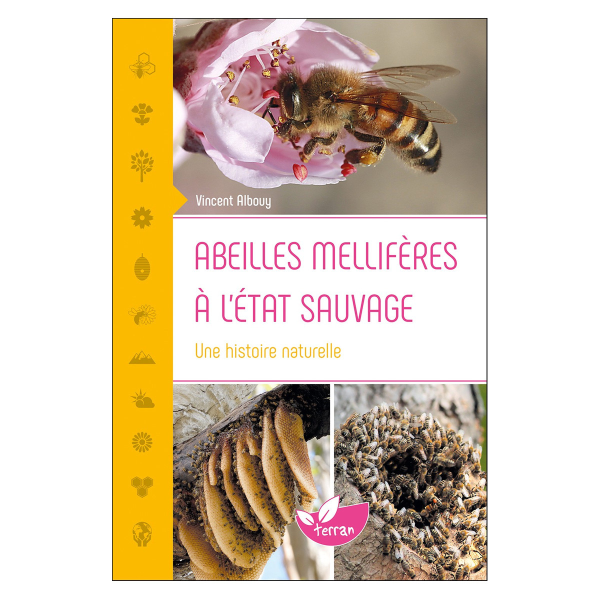 Abeilles mellifères à...