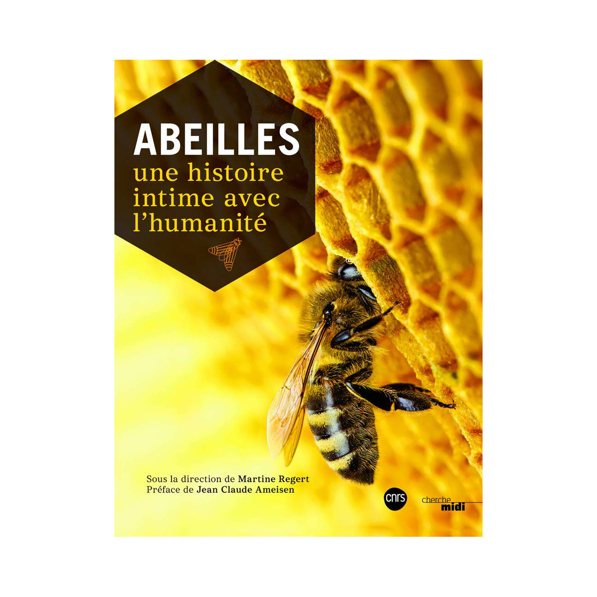 Abeilles, une histoire...