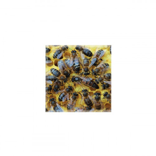 Magnet abeilles autour de la reine