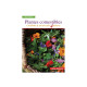 Plantes Comestibles, cueillette et recettes des 4 saisons