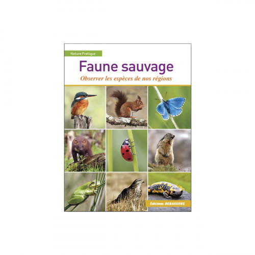 La faune sauvage de nos régions