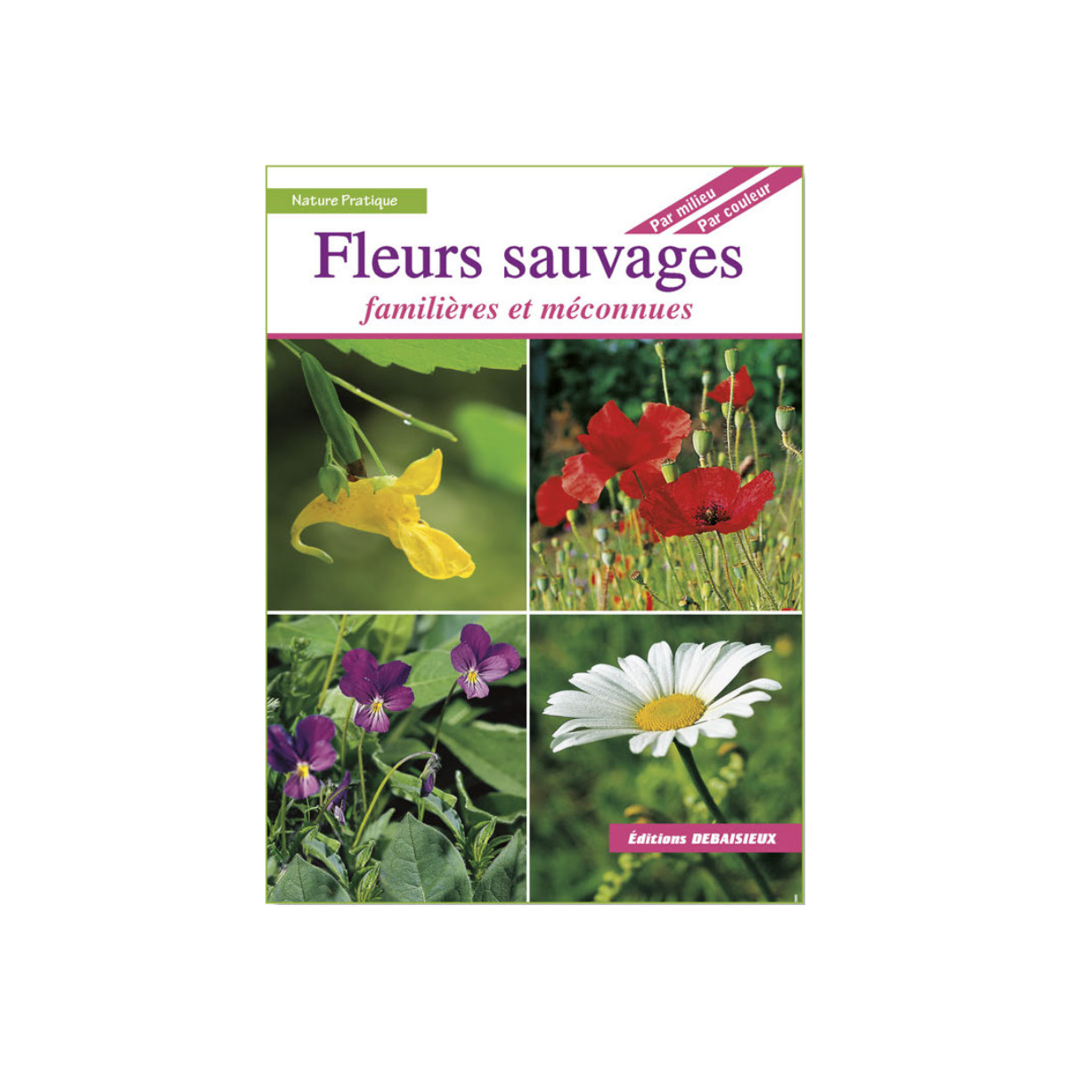 Fleurs sauvages familières...