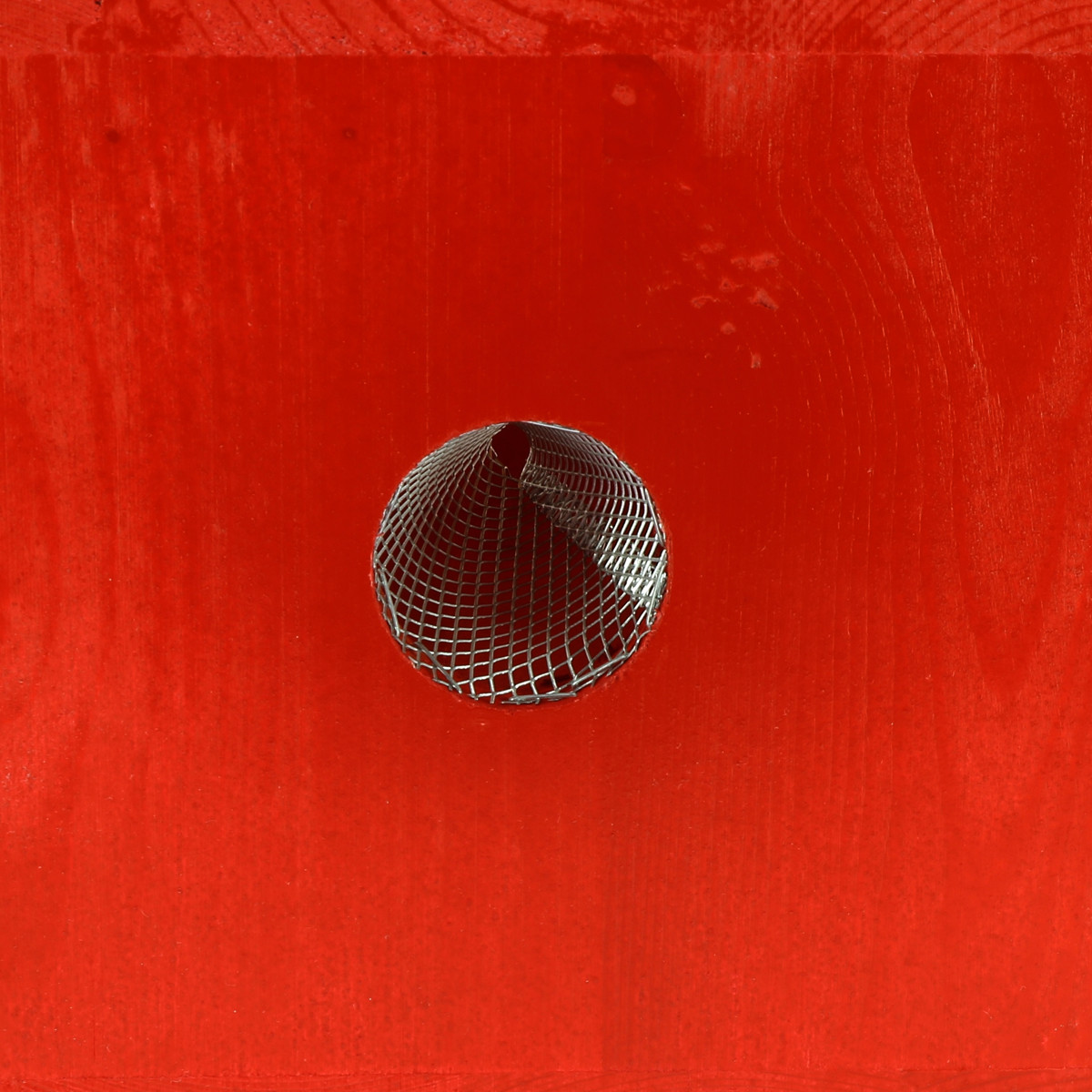 Red Trap [piège à frelons asiatiques] APISTORE • Apistore