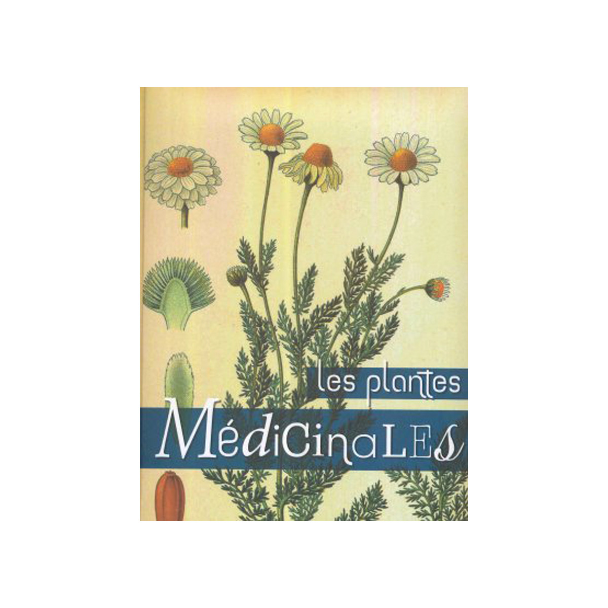 Les plantes Médicinales