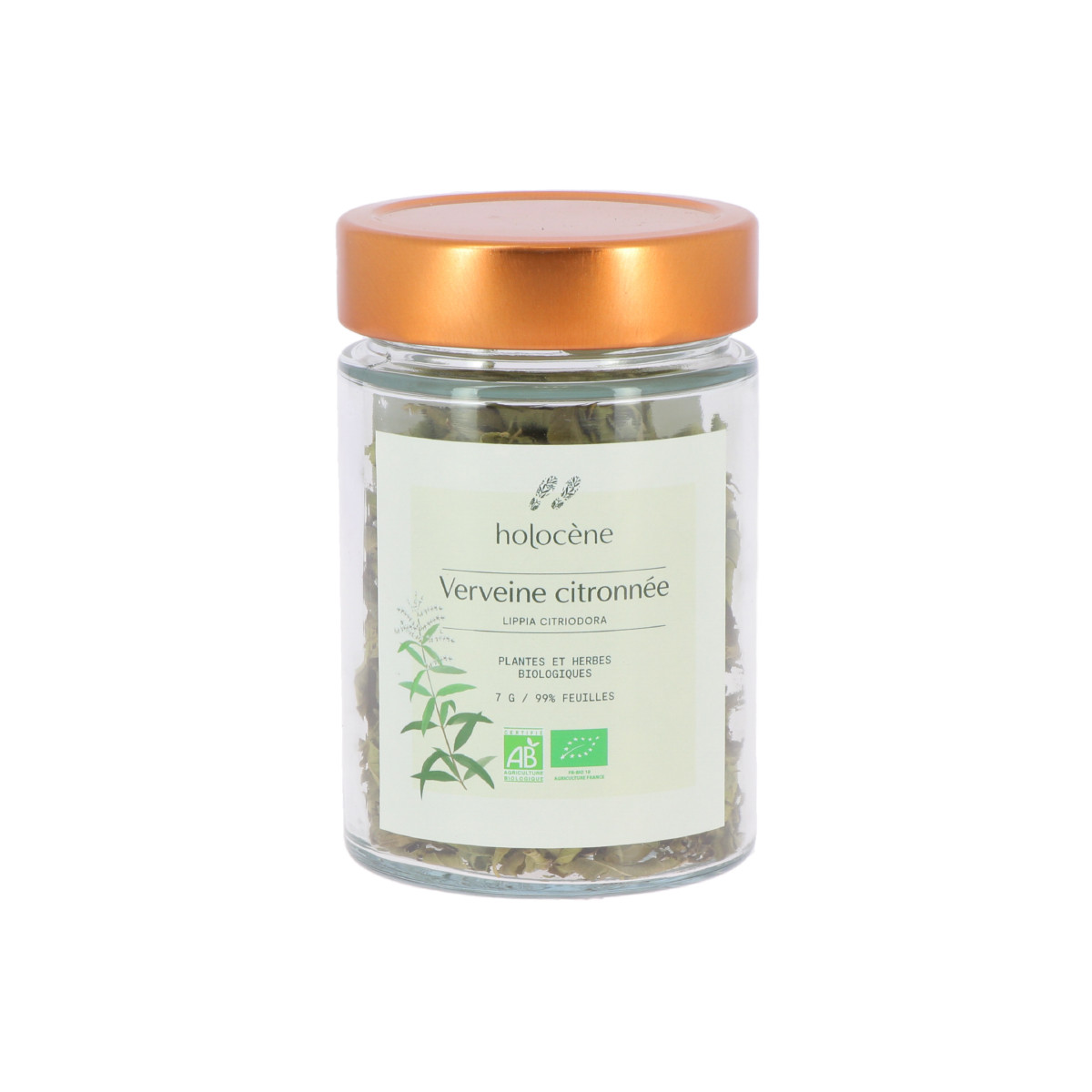 Feuille de verveine citronnée bio - Verveine citronnée bio pour