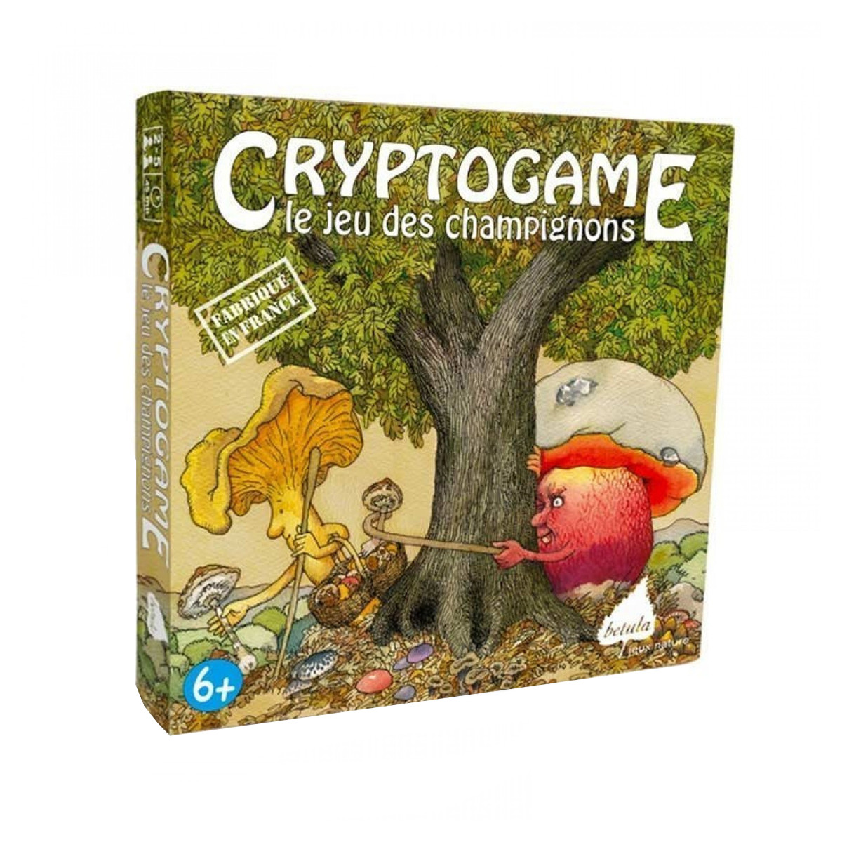 Cryptogame le jeu des...