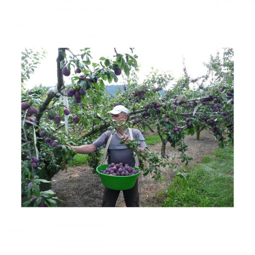 Panier ventral 15L Panier ventral 15L