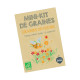 Mini kit de graines BIO de mélange de fleurs mellifères