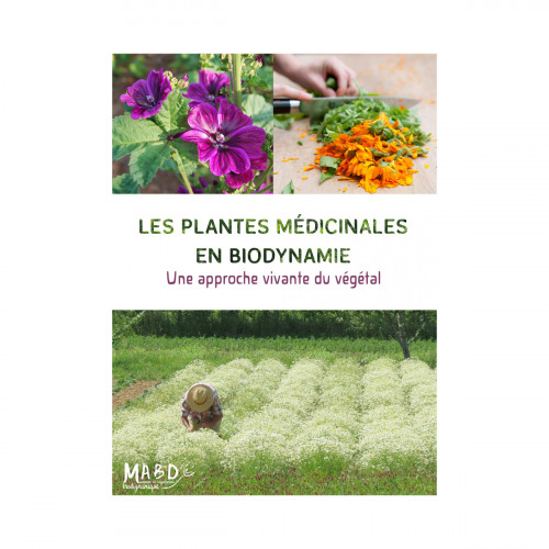Les plantes médicinales en biodynamie