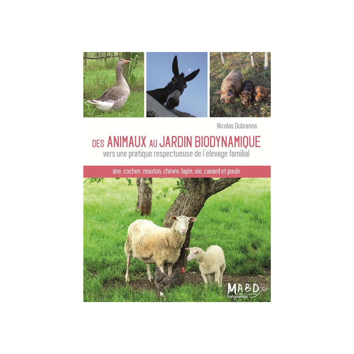 Des animaux au jardin...