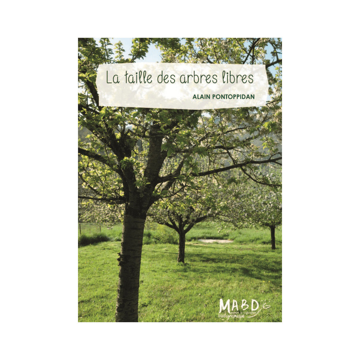 La taille des arbres libres