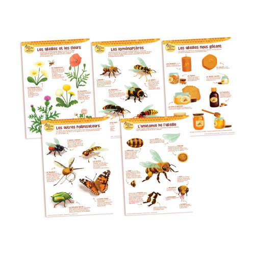 Kit de 5 posters pédagogiques