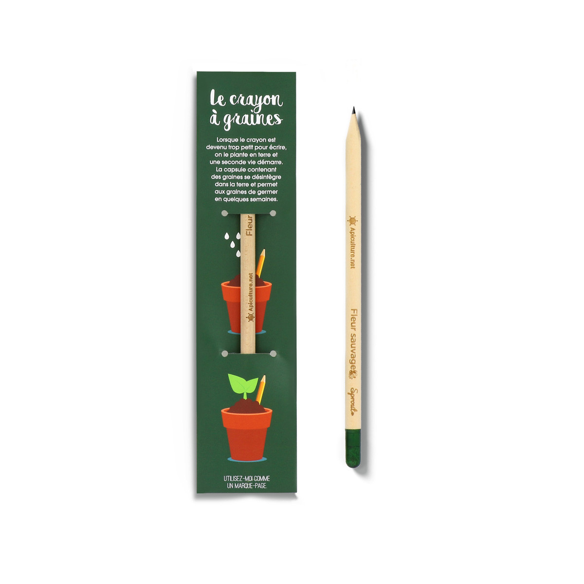 Crayon papier à planter