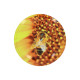 1440 capsules Twist Off Abeille / Fleur jaune TO63