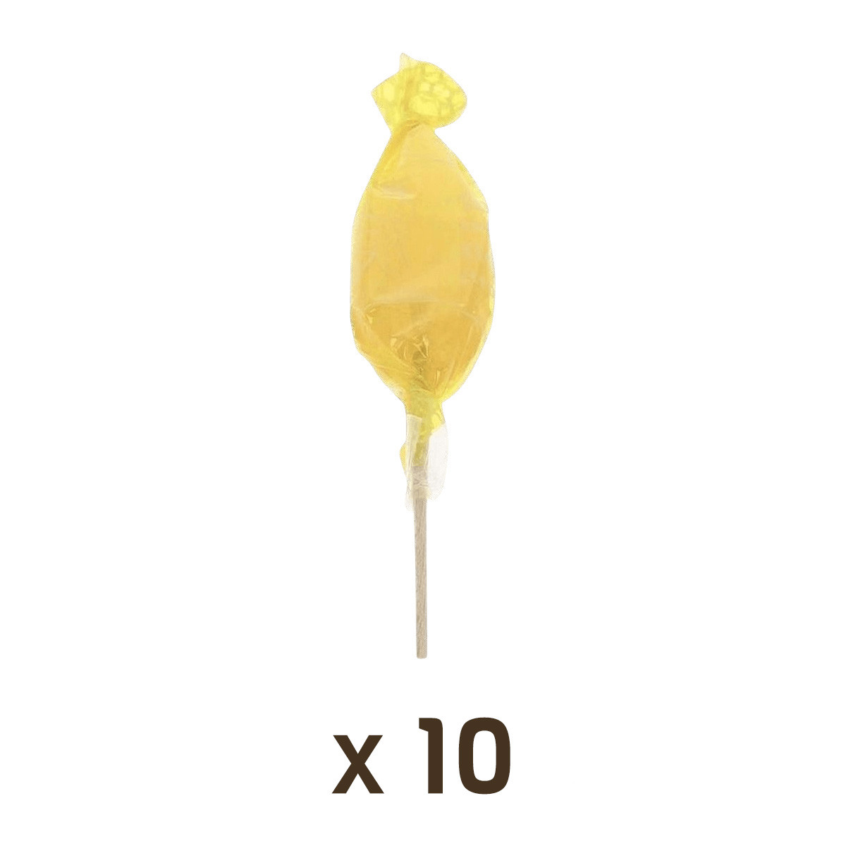 10 Sucettes Miel & Citron