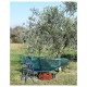 Brouette de récolte d'olives Pélican avec échelle 4 marches