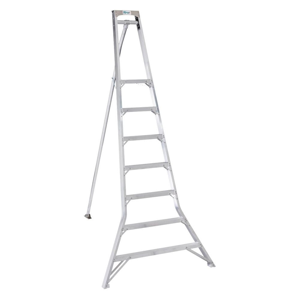 Echelle 7 marches Trimax