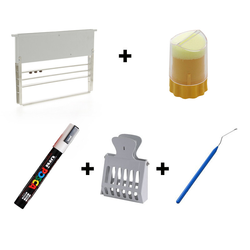 Kit Elevage des Reines Expert