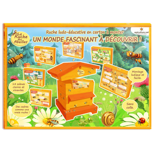 Ruche éducative à monter