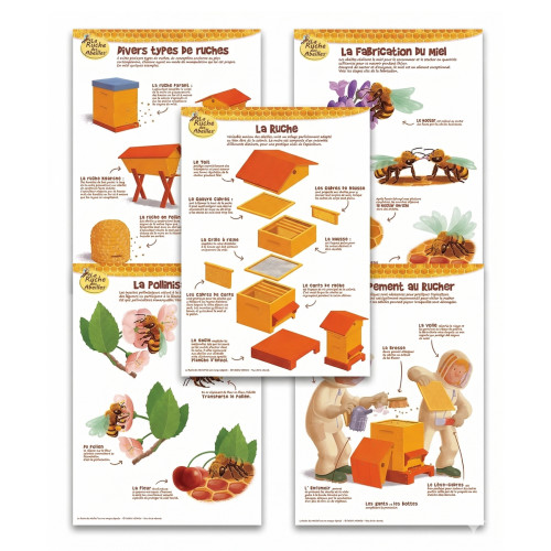 Kit de 5 posters pédagogiques série 2